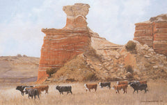 Texas Landscape Art Prints