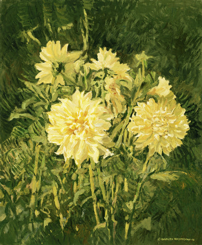 Dahlias