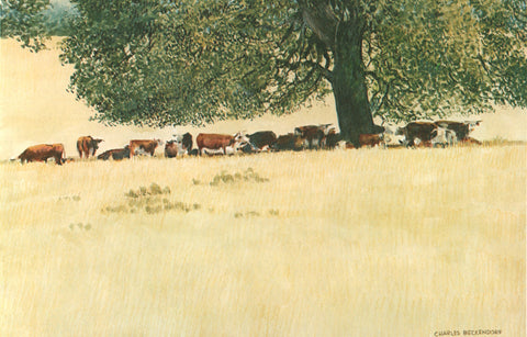 I - 17 Cattle Under a Big Oak Tree