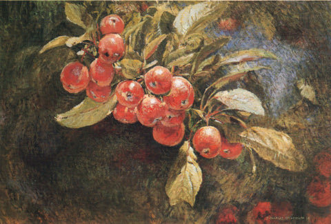 TQ - 24 Crabapples