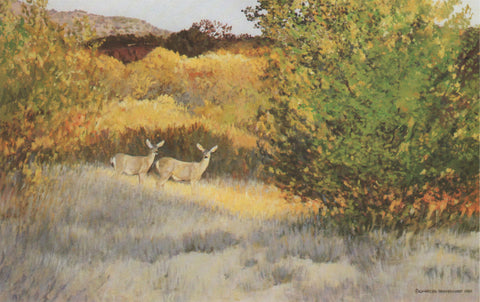 TQ - 9 Palo Duro Mule Deer