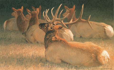 H - 21 Elk Family