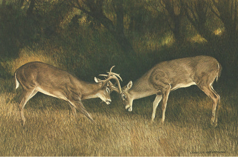 I - 68 Fighting Bucks