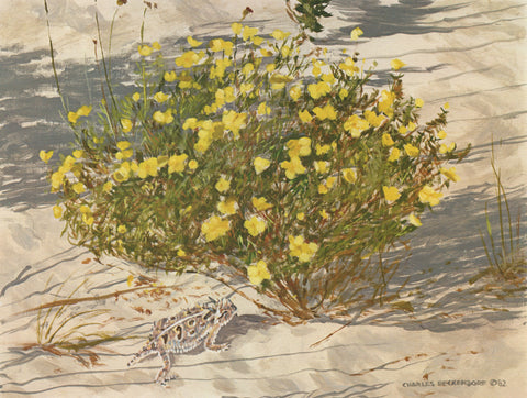 I-106 Desert/Primrose Cactus