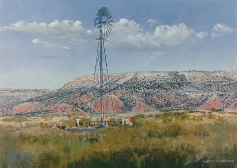 I-110 Palo Duro - Windmill