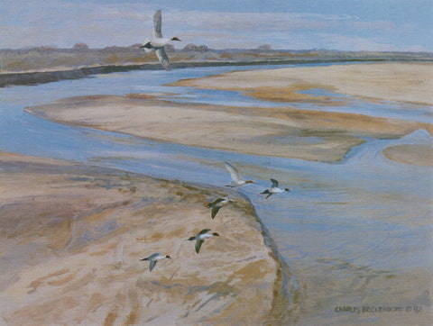 I-111 Red River - Pintails