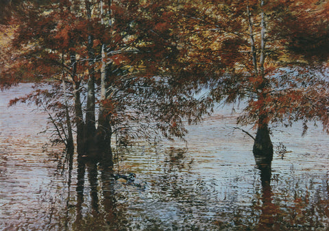 I-133 Wood Ducks-Cypress Tree