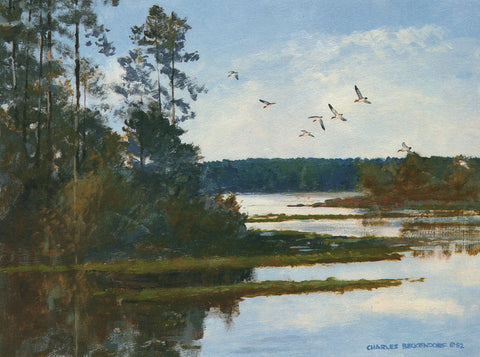 I-134 Pines-Lake-American Widgeon