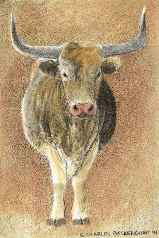 HC Longhorn 9.5 x 12.5