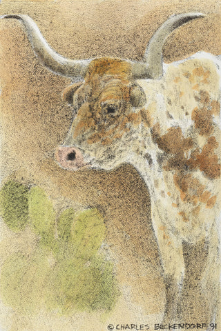 HC Longhorn Steer 9.5 x 12.5