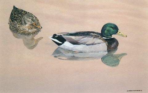 TQ - 44 Subtle Mallards