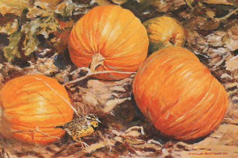 TQ - 2  Pumpkins and Meadowlark