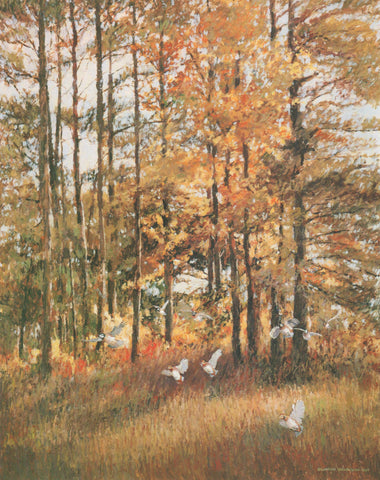 TQ - 6 Bobwhites and Pine Trees