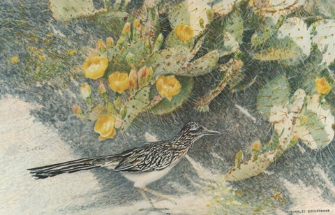 I - 15 Roadrunner