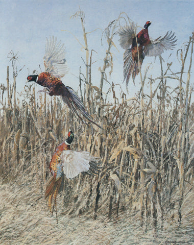 TQ - 27 Startled Pheasants