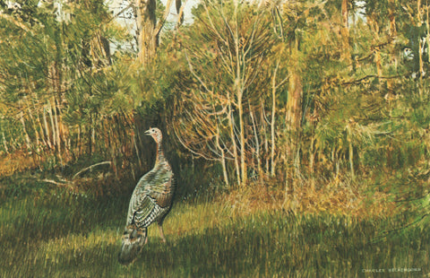 I - 42 Rio Grande Turkey
