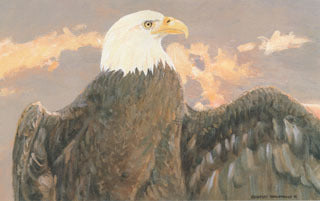 H-47 Bald Eagle