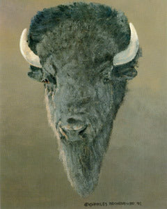 V-1 Bison
