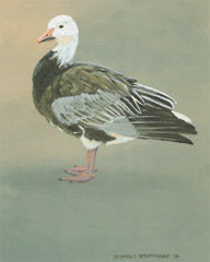 V-51 Blue Goose