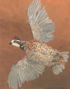 V-17  Bobwhite Flying