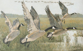 H58 Canadas Flying