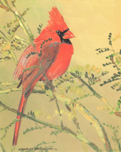 V-59 Cardinal