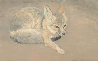 H-37 Desert Fox