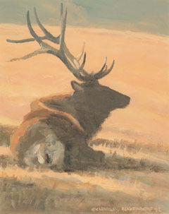 V-14 Elk