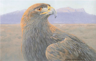 H-45  Golden Eagle (head)