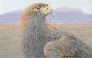 H-45 Golden Eagle (head)