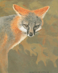 V-30 Gray Fox