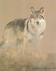 V-26 Gray Wolf