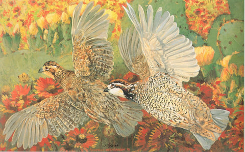 H-25 Bobwhite Quail (Flying)