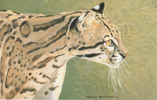 H9 Ocelot – Charles Beckendorf Gallery