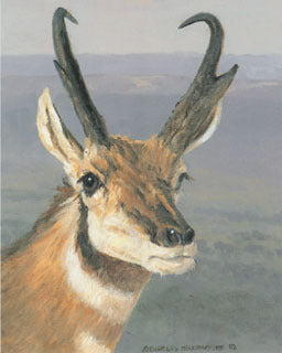 V-3 Pronghorn