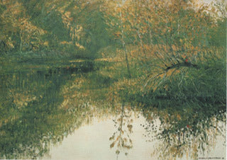 H-71 Reflecting Trees