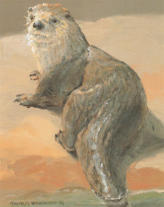 V-8 River Otter