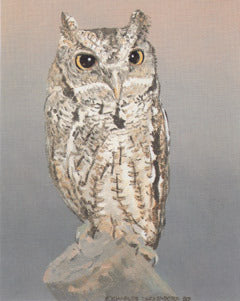 V-41 Screech Owl