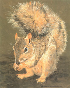 V-60  Squirrel