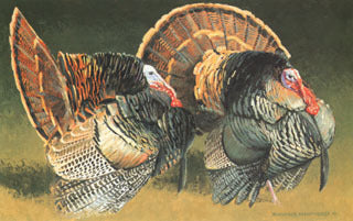 H-51 Turkeys - Strut – Charles Beckendorf Gallery