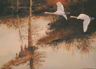 H-57 Swans Flying