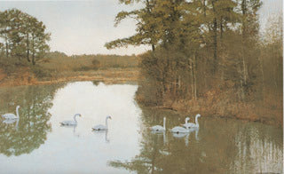 H-56  Swans-River