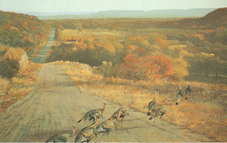 H-50 Turkeys-Road