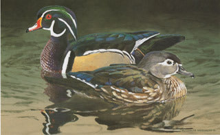 H-63 Wood Ducks