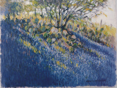 Texas Bluebonnet Art Prints