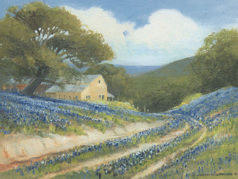 Bluebonnets and dirt road - Stone house