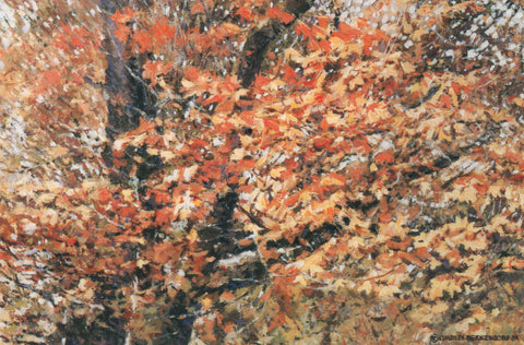 TQ-23 Maple Leaves