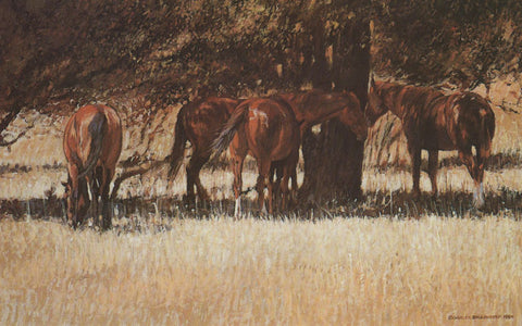 TQ14 Horses Under Trees