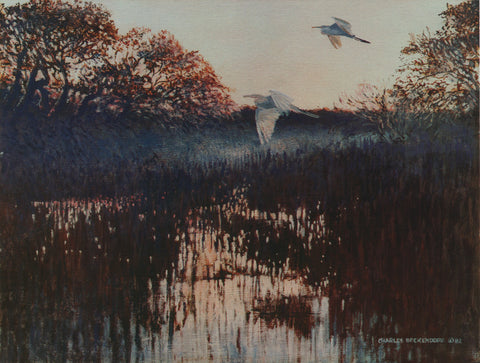 I-128  Egrets-Swamp