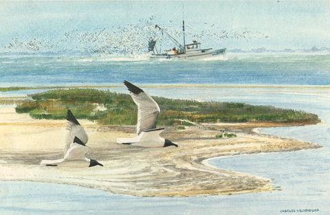 I - 34  Sea Gulls and Shrimp Boat